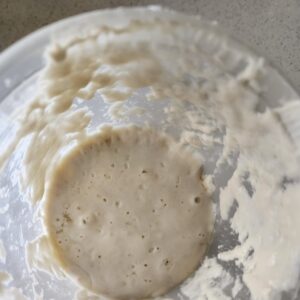 Sourdough Starter