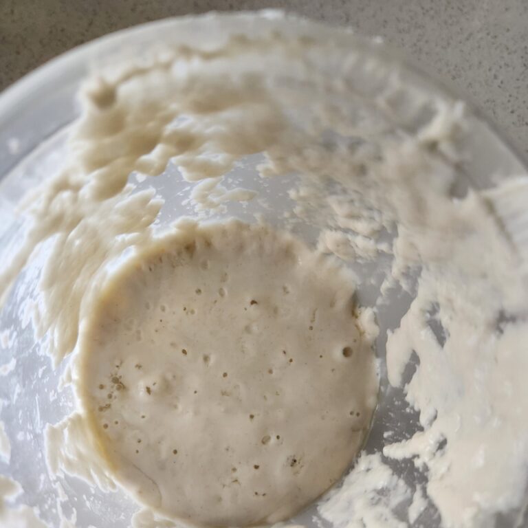 Sourdough Starter